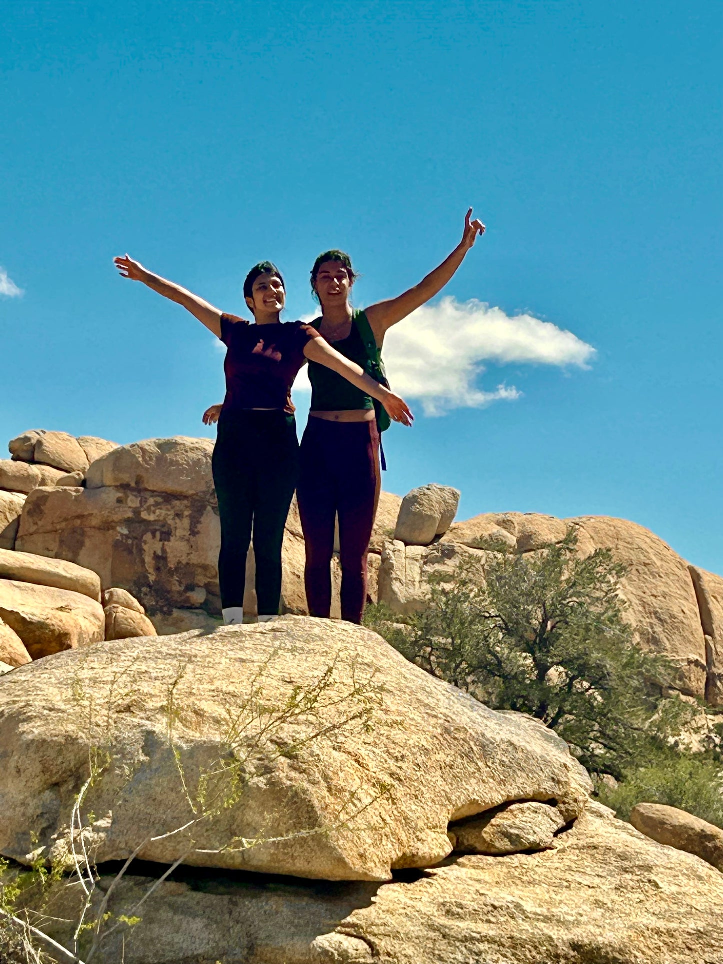 Stretch-eze Retreat Deposit - Joshua Tree