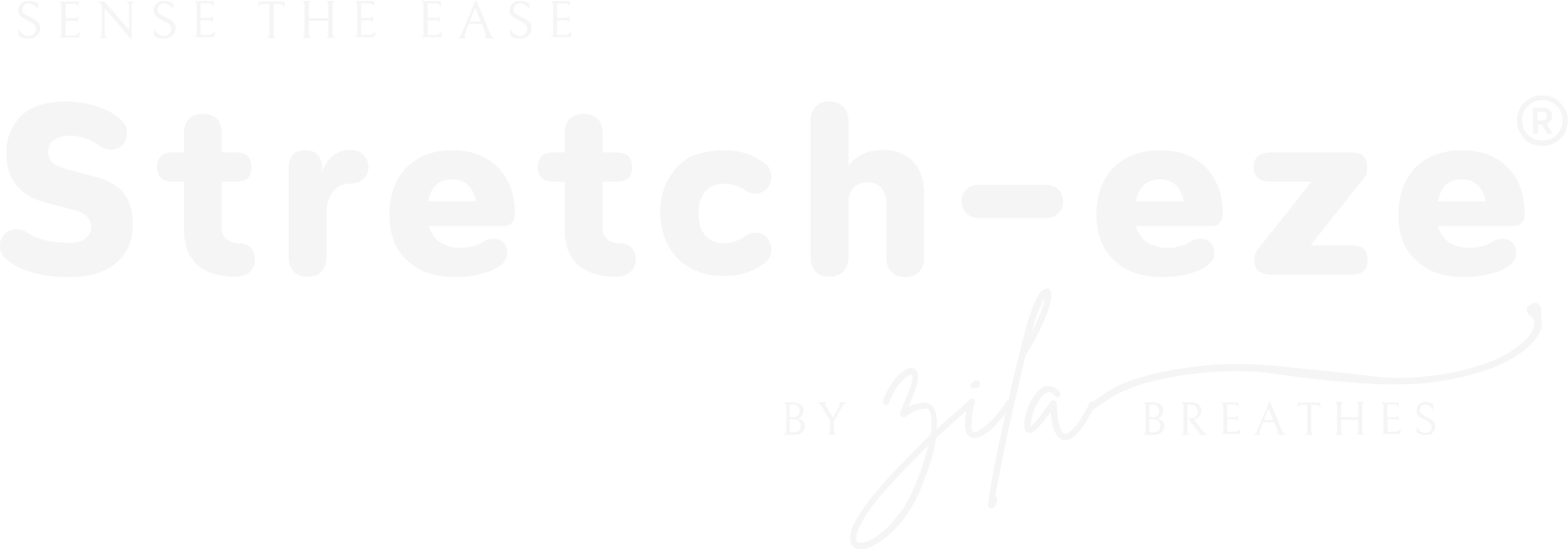 Stretch-eze logo
